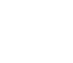 Pearle Partner Logo